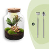 Flaschengarten-Set „Milky" – DIY-Terrarium mit Licht