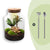 Flaschengarten-Set „Milky" – DIY-Terrarium mit Licht
