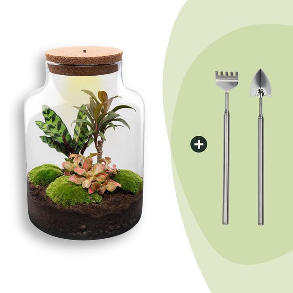 Flaschengarten-Set „Milky" – DIY-Terrarium mit Licht