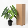 Kunstpflanze Alocasia ‚Polly' – Ansicht 6