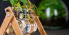 Stecklingsstation aus Holz mit Glasvasen
