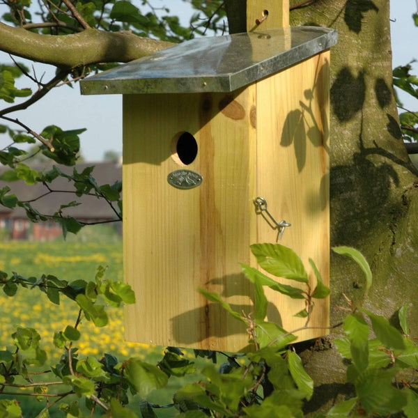 Beobachtungsnistkasten für Vögel
