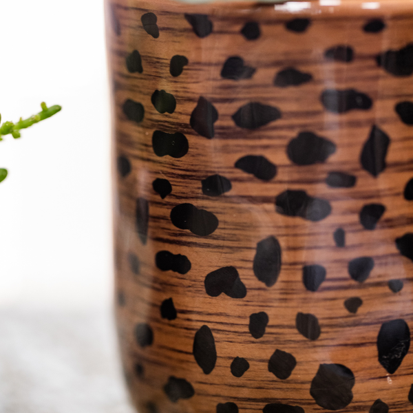 Geschenk-Set „Leopard" – Orchidee ‚Bolzano' mit Grünpflanze – Ansicht 2