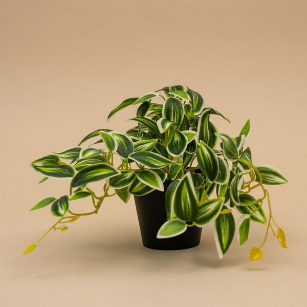 Kunstpflanze Tradescantia im Topf
