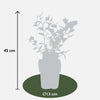 Heidelbeere ‚Reka' – Vaccinium corymbosum – Ansicht 5