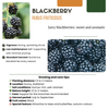 Brombeere – Rubus fruticosus – Ansicht 5
