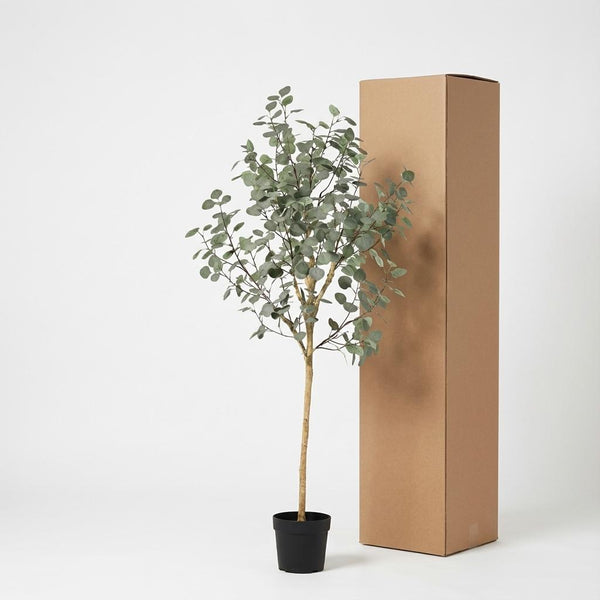 Kunstpflanze Eukalyptus (Eucalyptus) – Ansicht 6