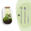 Flaschengarten-Set „Botanical Sven XL“ – DIY-Terrarium mit Licht