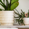 Übertopf-Set „Marble Light“ – Kombi-Angebot Marmor-Übertöpfe – Ansicht 3