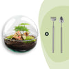 Flaschengarten-Set „Dome" – DIY-Terrarium im Kugelglas