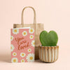 Geschenk-Set „Love“ – Herzblatt, Topf, Grußkarte & Geschenktüte