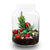 Weihnachts-Flaschengarten-Set „Frosty" – DIY-Terrarium mit Pflanzen