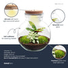 Flaschengarten-Set „Teddy" – DIY-Kit mit Beleuchtung