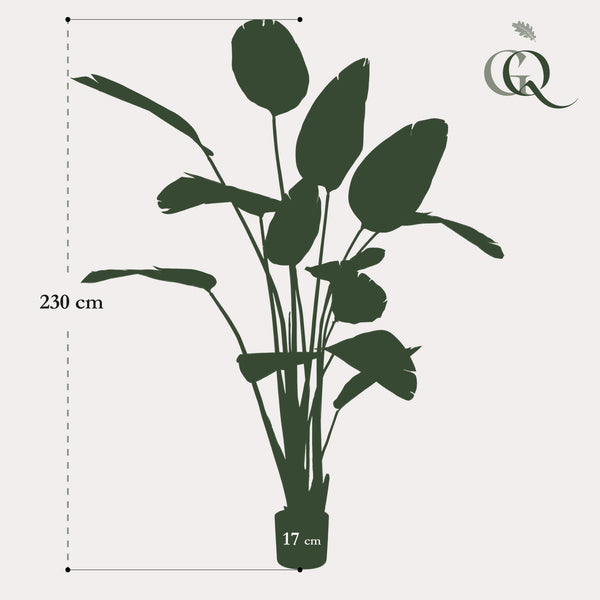 Kunstplant - Strelitzia Nicolai - Paradijsvogelbloem -230cm
