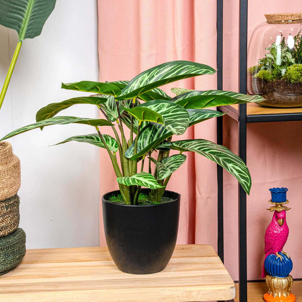 Kunstpflanze Calathea Zebrina im schwarzen Topf – Ansicht 2