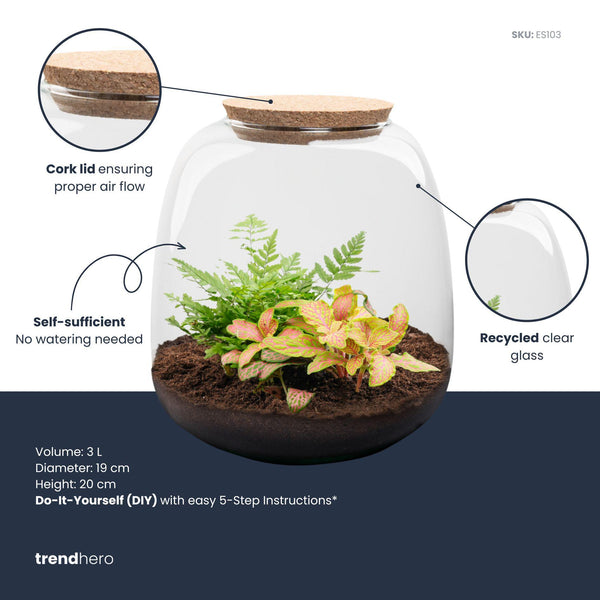 Terrarium-Set „Emma Mini" – DIY-Kit mit Fittonia ‚Ruby Lime'