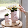 Schmetterlingsorchidee ‚Nazaré' – Phalaenopsis – Ansicht 10