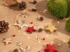 Weihnachts-Set „Bolder Bob Bonsai“ – DIY-Bonsai-Arrangement