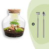 Flaschengarten-Set „Little Joe" – DIY-Terrarium mit Beleuchtung