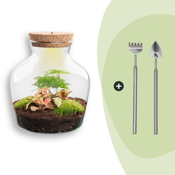 Flaschengarten-Set „Little Joe" – DIY-Terrarium mit Beleuchtung