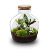 Flaschengarten-Set „Fat Joe" – DIY-Terrarium mit Licht – Ansicht 5