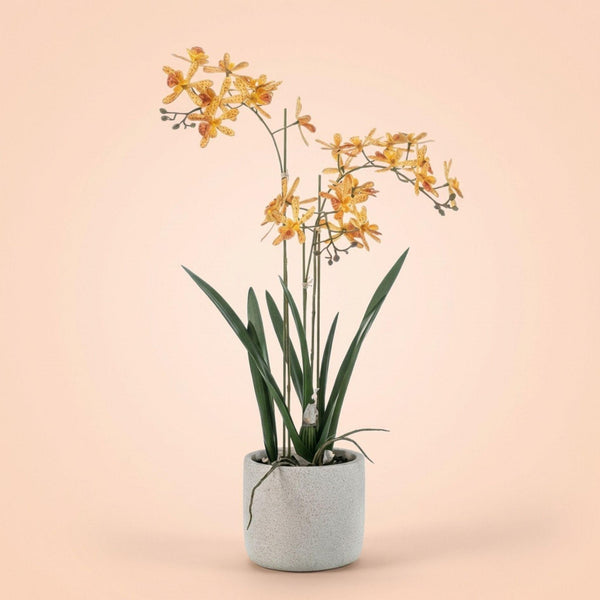 Kunstpflanze Renanthera-Orchidee im Topf – Ansicht 6
