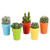 Kakteen-Set „Kakteen-Mix" – 5 Kakteen