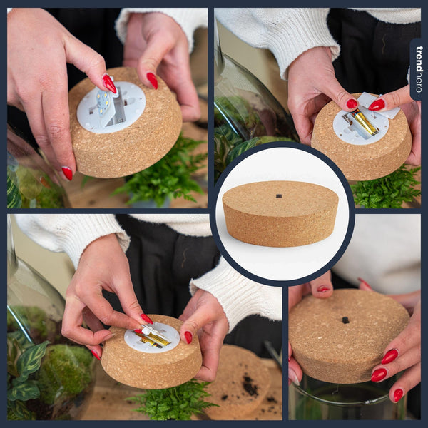 LED-Korken mit Beleuchtung für Terrarium
