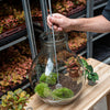 Terrarium-Harke teleskopierbar aus Edelstahl – Ansicht 4