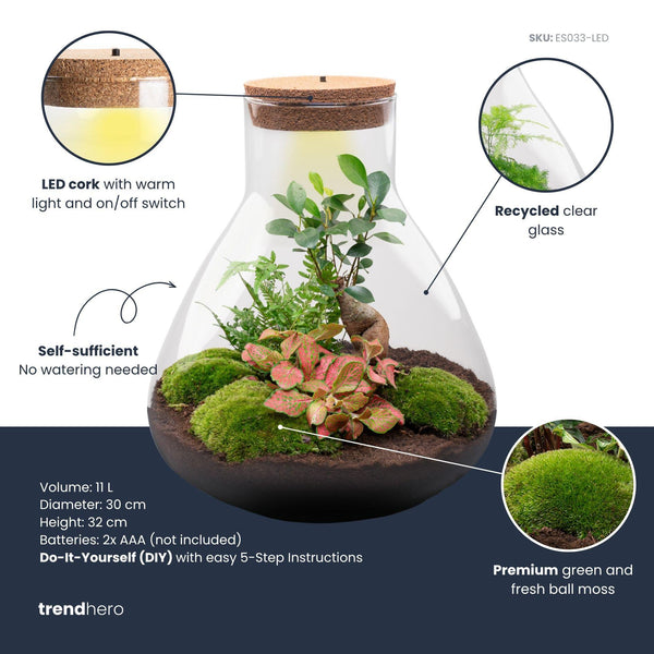 Terrarium-Set „Sam XL Bonsai" – DIY-Pflanzenterrarium mit Licht