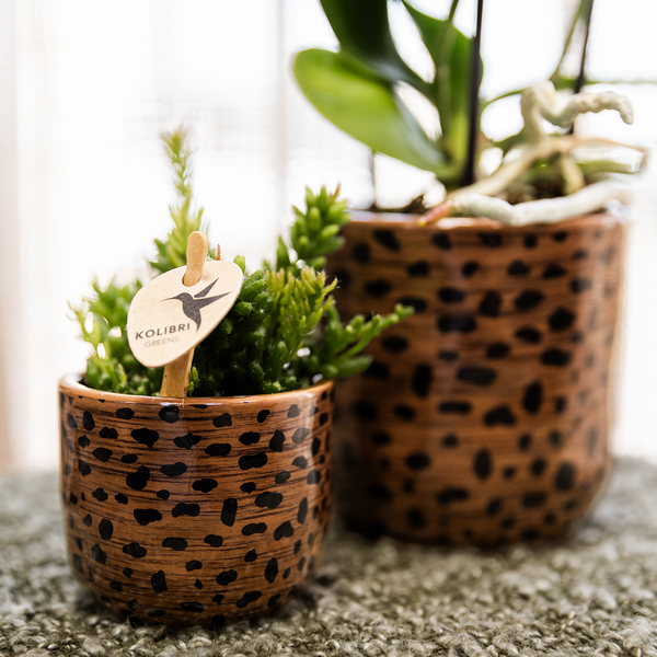 Ziertopf mit Leopardenmuster – Ansicht 4