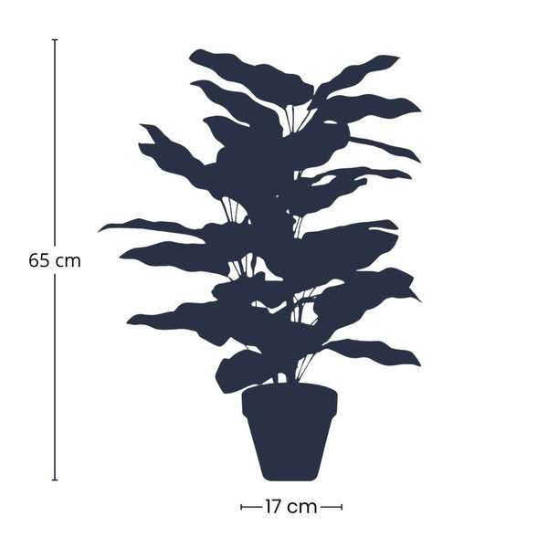 Kunstpflanze Calathea im Topf – Ansicht 2