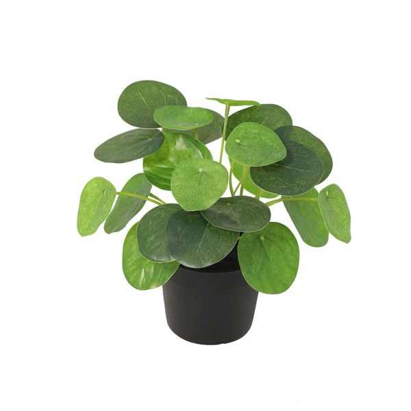 Kunstpflanzen-Set „Fensterbank Mini“ – Ufopflanze, Philodendron & Monkey Leaf – im Set enthalten: Kunstpflanze Ufopflanze (Pilea peperomioides)