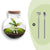 Flaschengarten-Set „Teddy" – DIY-Terrarium mit Licht