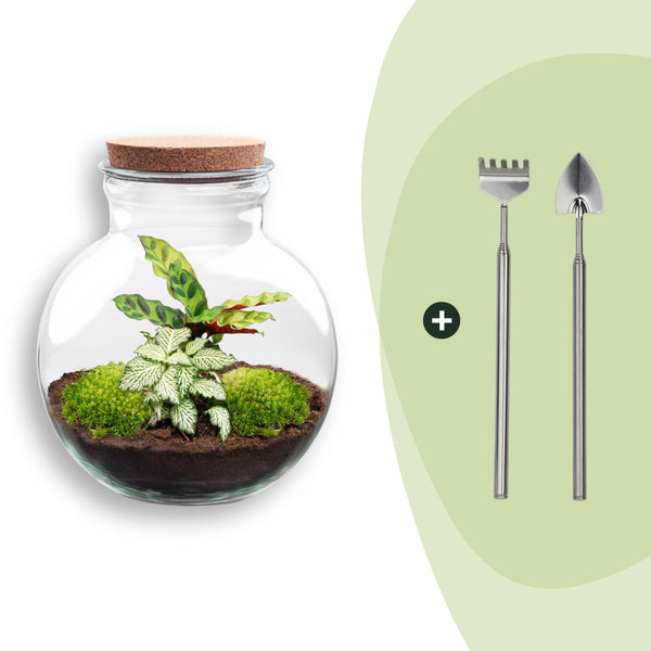 Flaschengarten-Set „Teddy" – DIY-Terrarium mit Licht