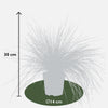 Blauschwingel ‚Azurit' – Festuca glauca – Ansicht 8