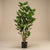 Kunstpflanze Polysciasbaum