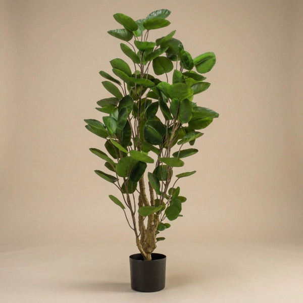 Kunstpflanze Polysciasbaum