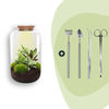 Flaschengarten-Set „Botanical Sven XL“ – DIY-Terrarium mit Licht