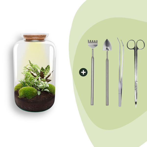 Flaschengarten-Set „Botanical Sven XL“ – DIY-Terrarium mit Licht