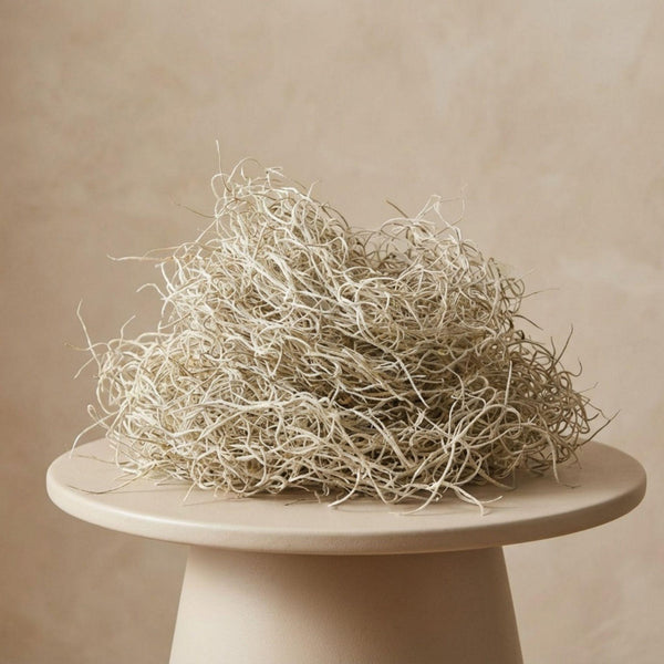 Getrocknetes Tillandsia-Moos – Dekomoos