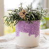 Pflanzen-Set „Bloom Purple" – Orchidee ‚Vienna' mit Grünpflanzen – Ansicht 7
