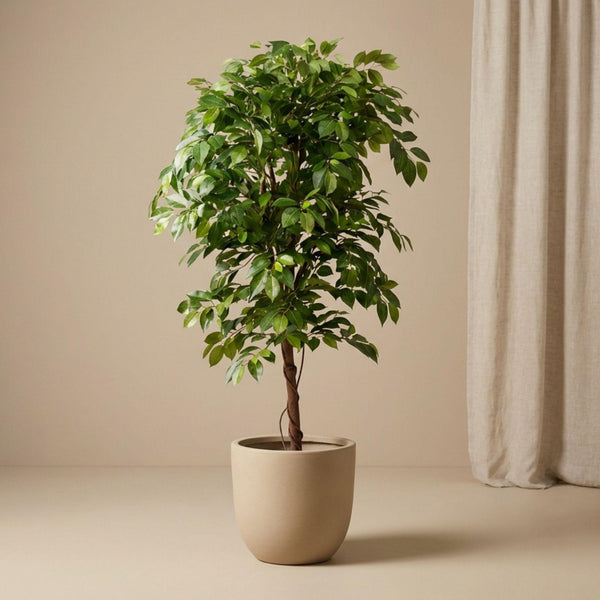 Kunstpflanze Ficus Deluxe Vine – Ansicht 17