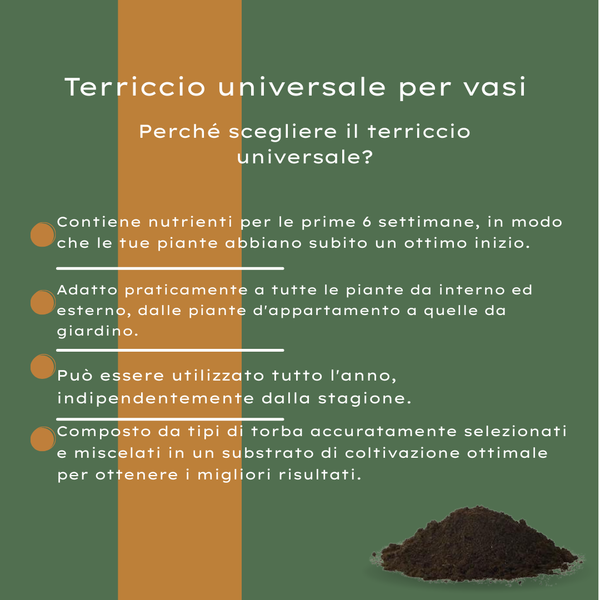 Universal-Blumenerde für Zimmer- und Gartenpflanzen – Ansicht 11