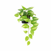 Kunstpflanze Efeutute panaschiert (Epipremnum)