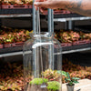 Terrarium-Harke teleskopierbar aus Edelstahl – Ansicht 6