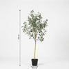 Kunstpflanze Eukalyptus (Eucalyptus) – Ansicht 5