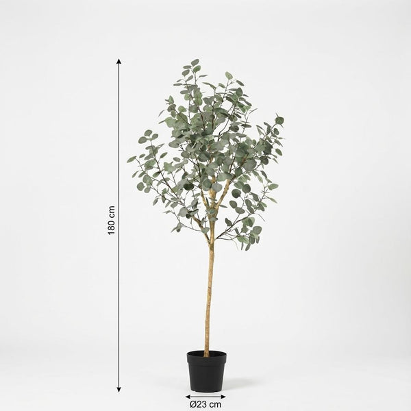 Kunstpflanze Eukalyptus (Eucalyptus) – Ansicht 5
