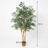 Kunstpflanze Ficus Exotica – Ansicht 5