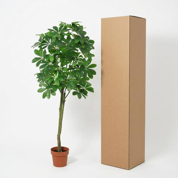 Kunstpflanze Glückskastanie (Pachira aquatica) – Ansicht 6